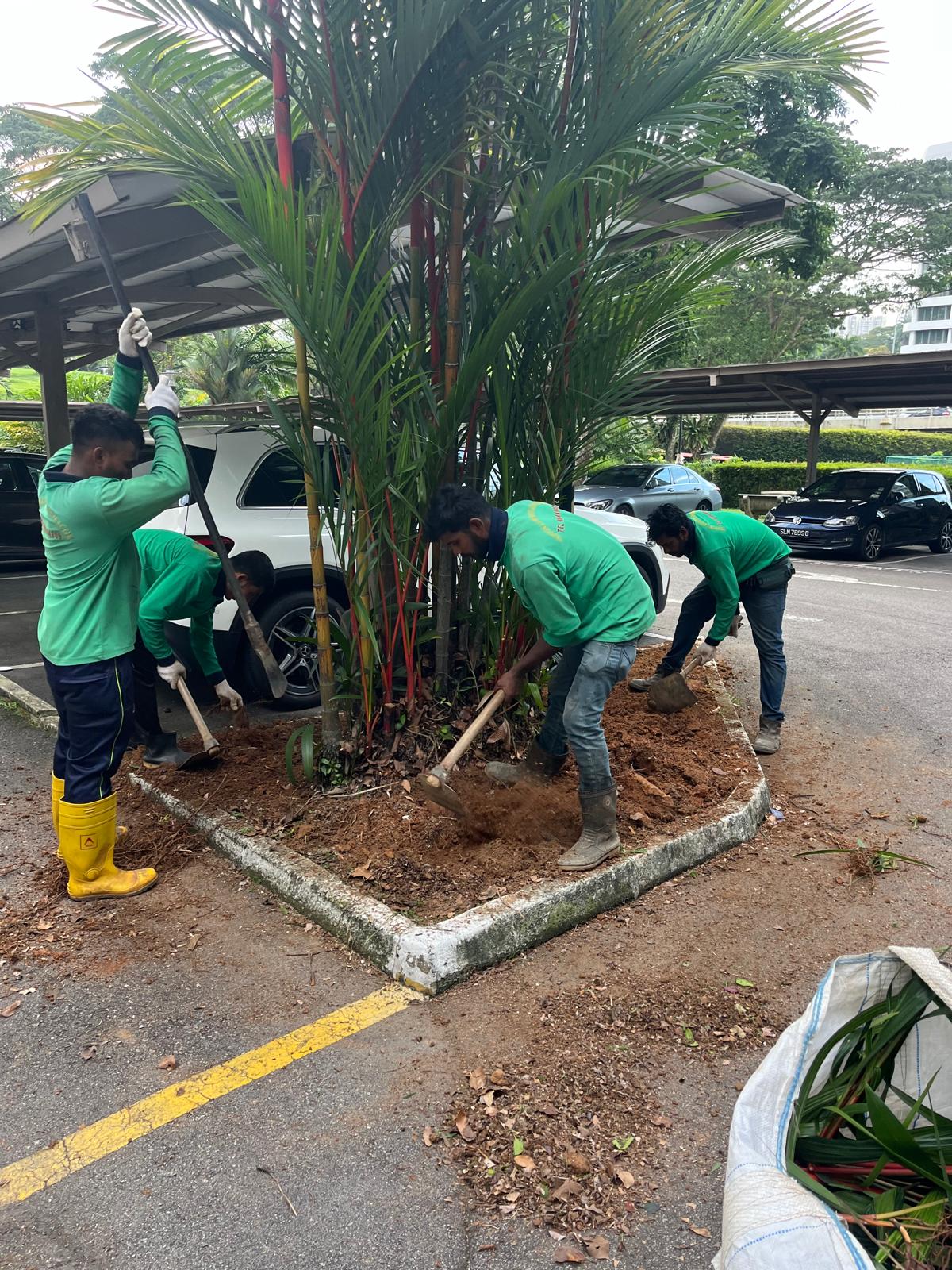Professional Planting Services